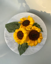 Load image into Gallery viewer, Round Gul Dio
