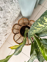 Load image into Gallery viewer, Flower Planter
