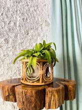 Load image into Gallery viewer, Table-Top Planter
