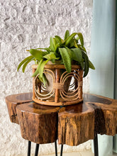 Load image into Gallery viewer, Table-Top Planter
