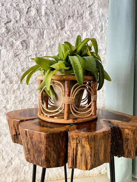 Table-Top Planter