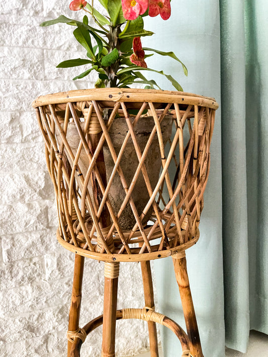 Criss-Cross Planter
