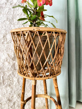 Load image into Gallery viewer, Criss-Cross Planter
